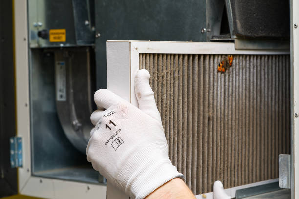 Best Air Duct Sanitizing Services  in Blossom, TX